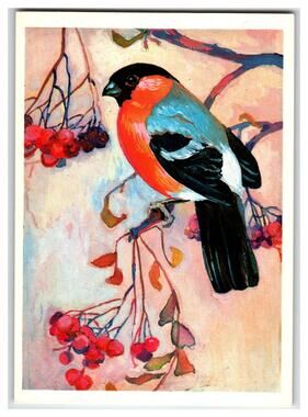 Vintage Russian Bullfinch Bird Art Postcard N. Albova 1979 Rowan Berries